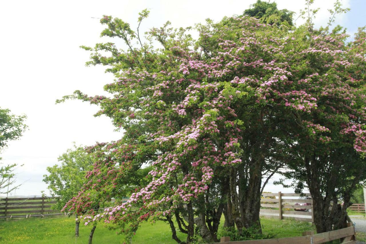 Macaulay Farm Lodge Stornoway  Luaran gambar